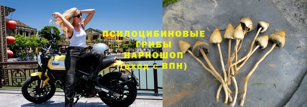 дживик Навашино