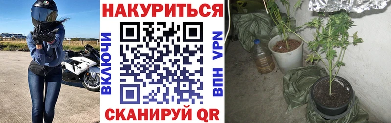 Конопля OG Kush  Купить закладки  Норильск 